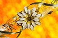 The ribbon is gold with a creative ornament on the background of rainbow bokeh lights.Ribbon with a pattern, the original Royalty Free Stock Photo