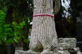 Ribbon with national colours of Republic of Poland tied up to the old monument on the cemetery. National memory day concept.