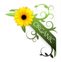 Ribbon for organic product