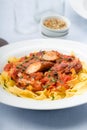 Ribbon pasta with chicken and tomato leek sauce Royalty Free Stock Photo