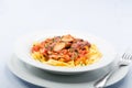 Ribbon pasta with chicken and tomato leek sauce Royalty Free Stock Photo