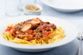 Ribbon pasta with chicken and tomato leek sauce Royalty Free Stock Photo
