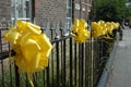 Ribbons on a fence Royalty Free Stock Photo