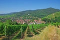Ribeauville,Alsace,France Royalty Free Stock Photo