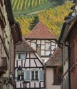 Ribeauville, Bas-Rhin, Alsace, exterior old half-timbered houses, vineyard
