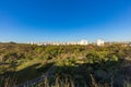 Ribeirao Preto city park, aka Curupira Park Royalty Free Stock Photo