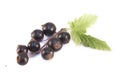 Ribes nigrum isolated Royalty Free Stock Photo