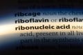 ribonucleic acid Royalty Free Stock Photo