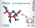 Ribose ÃÂ²-D-ribofuranose molecule, it is a pentose