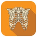 Ribs Flat Icon Orange