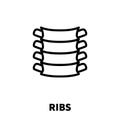 Ribs icon or logo in modern line style.