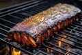 ribs marinated with spicy bbq sauce in smoker
