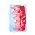 Ribs in plastic tray, frozen or cold fresh raw pork or beef meat with bone for barbecue