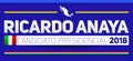 Ricardo Anaya Candidato presidencial 2018, presidential candidate 2018 spanish text, Mexican elections