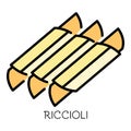 Riccioli pasta icon color outline vector Royalty Free Stock Photo