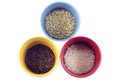Rice Royalty Free Stock Photo