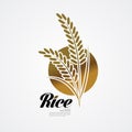 Premium Rice great quality design concept  vector. Royalty Free Stock Photo