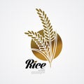 Premium Rice great quality design concept vector.