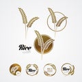 Premium Rice great quality design concept  vector. Royalty Free Stock Photo