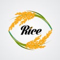 Premium Rice great quality design concept vector.