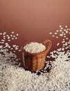 Rice Royalty Free Stock Photo