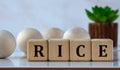 RICE - acronym on wooden cubes against the background of light balls and cactus