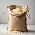 Rice in bag over white background