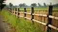 rice bamboo fence