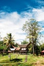 Rice barns in a traditional Tana Toraja village, tongkonan houses and buildings. Kete Kesu, Rantepao, Sulawesi, Indonesia