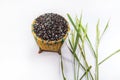 Rice berries in basket Royalty Free Stock Photo
