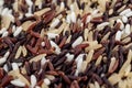 Rice berries, jasmine rice, brown nose, pile of unmilled rice grains, rice, and five species Royalty Free Stock Photo