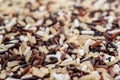 Rice berries, jasmine rice, brown nose, pile of unmilled rice grains, rice, and five species Royalty Free Stock Photo