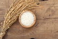 Rice in bowl with rice paddy on rustic wooden background Royalty Free Stock Photo