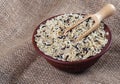 Rice in a bowl. wild brown rice Royalty Free Stock Photo