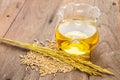 Rice bran oil in bottle glass and unmilled rice on wooden background Royalty Free Stock Photo