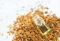 Rice Bran Oil, Extract Wheat Brown Plant Oryzanol Essence in Glass bottle on Rice Grain Bran Lay Seed Bown Organic, Germ Cold Royalty Free Stock Photo