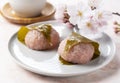 Rice cake with bean paste wrapped in a preserved cherry leaf