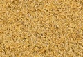 Rice chaff background Royalty Free Stock Photo