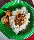 Rice and chicken curry in green plate