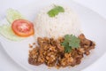 Rice with chicken fried with garlic and black pepper. Closeup for design-works Thai Food Royalty Free Stock Photo