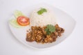 Rice with chicken fried with garlic and black pepper. Closeup for design-works Thai Food Royalty Free Stock Photo