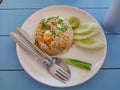 Rice with chicken fried with garlic and black pepper Royalty Free Stock Photo