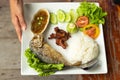 Rice, chili sauce, fish and pork fried with vegetables on a whit Royalty Free Stock Photo