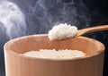 Rice of china Royalty Free Stock Photo