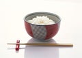 Rice of china Royalty Free Stock Photo