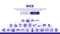 Rice Chinese Culture Landing Header Vector