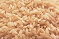 Rice closeup image white color