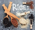 Rice collection Royalty Free Stock Photo
