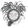 Rice concept logo hand draw vintage engraving style isolated on