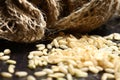 Rice corn with on wooden table Royalty Free Stock Photo
